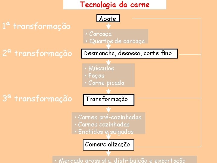 Tecnologia da carne 1ª transformação 2ª transformação Abate • Carcaça • Quartos de carcaça