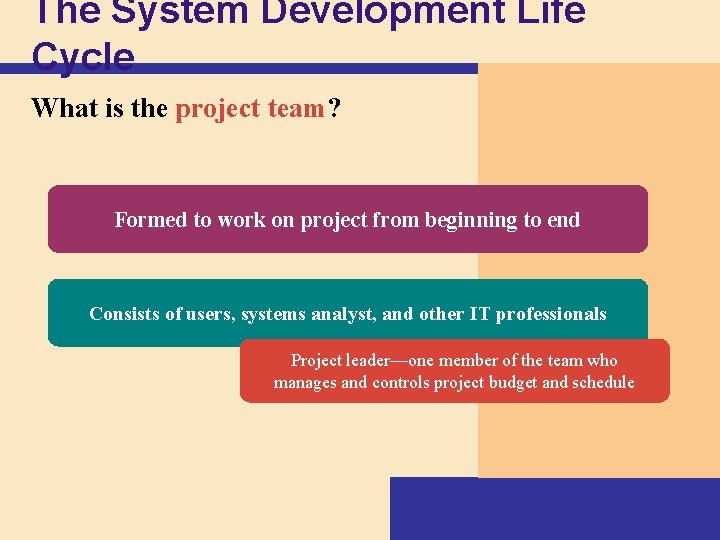 The System Development Life Cycle What is the project team? Formed to work on