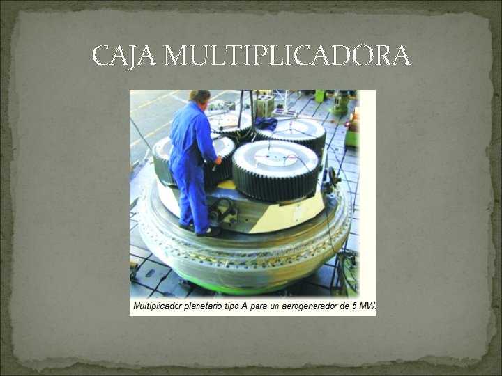 CAJA MULTIPLICADORA 