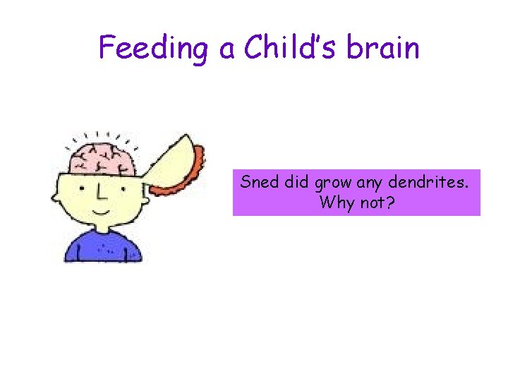 Feeding a Child’s brain Sned did grow any dendrites. Why not? 