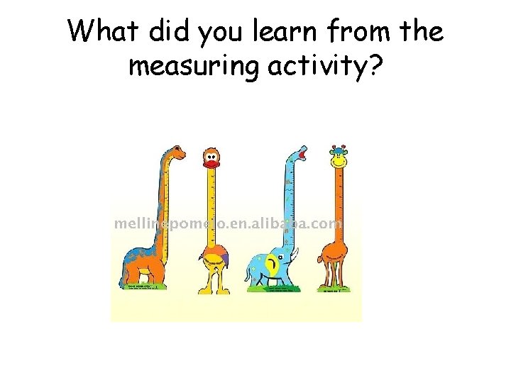What did you learn from the measuring activity? 