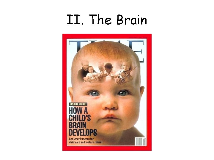 II. The Brain 