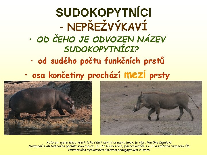 SUDOKOPYTNÍCI - NEPŘEŽVÝKAVÍ • OD ČEHO JE ODVOZEN NÁZEV SUDOKOPYTNÍCI? • od sudého počtu