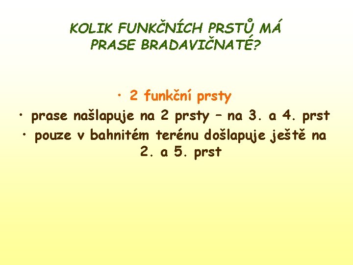 KOLIK FUNKČNÍCH PRSTŮ MÁ PRASE BRADAVIČNATÉ? • 2 funkční prsty • prase našlapuje na