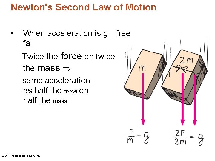 Newton's Second Law of Motion • When acceleration is g—free fall Twice the force