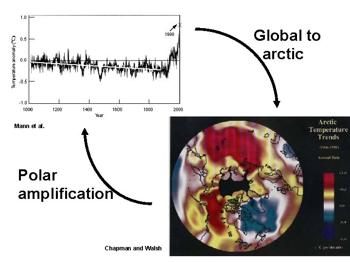 Global to arctic Mann et al. Polar amplification Chapman and Walsh 