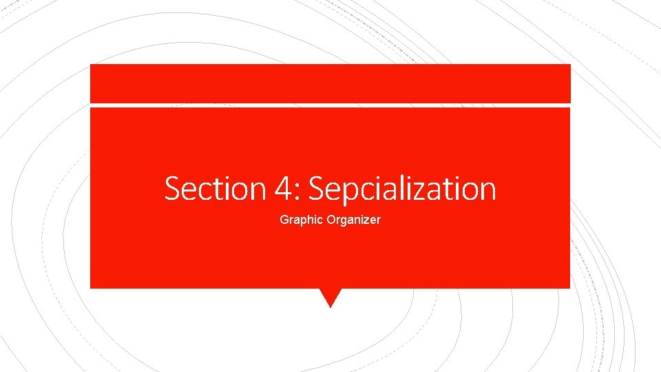 Section 4: Sepcialization Graphic Organizer 