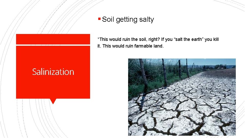 § Soil getting salty *This would ruin the soil, right? If you “salt the