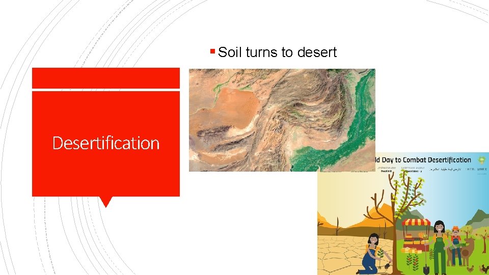 § Soil turns to desert Desertification 