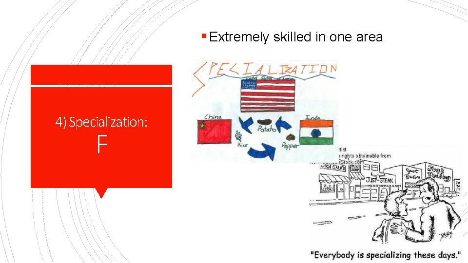 § Extremely skilled in one area 4) Specialization: F 