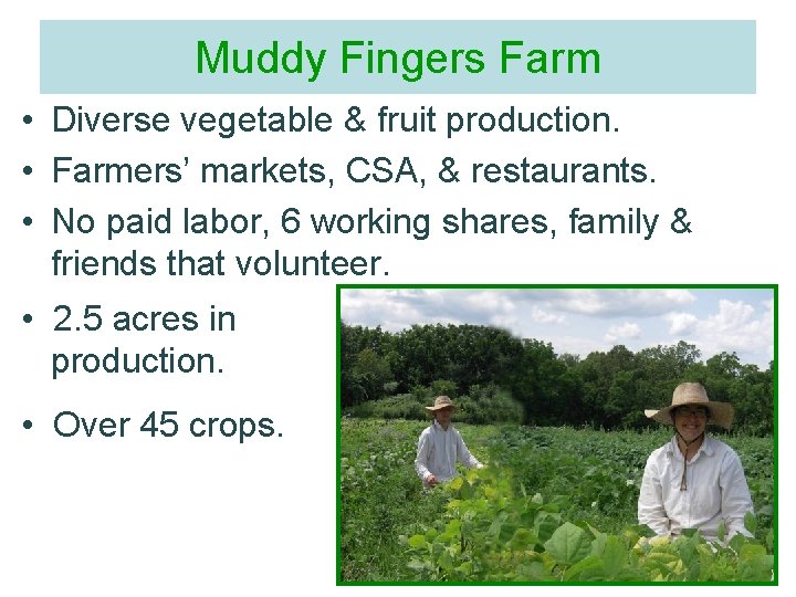 Muddy Fingers Farm • Diverse vegetable & fruit production. • Farmers’ markets, CSA, &