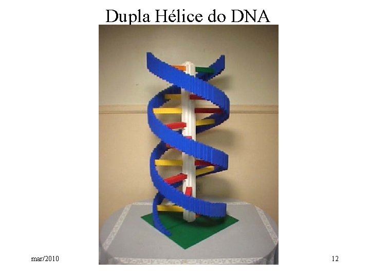 Dupla Hélice do DNA mar/2010 12 