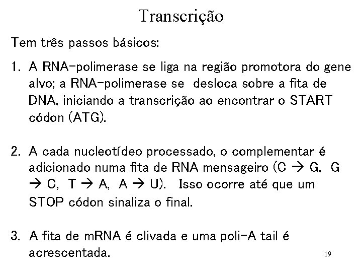 Transcrição Tem três passos básicos: 1. A RNA-polimerase se liga na região promotora do