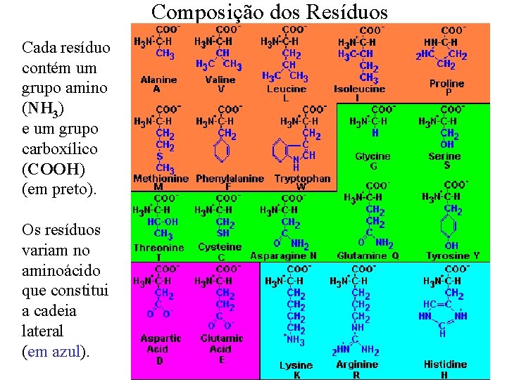 Composição dos Resíduos Cada resíduo contém um grupo amino (NH 3) e um grupo