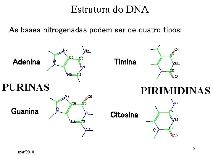 Estrutura do DNA As bases nitrogenadas podem ser de quatro tipos: Adenina Timina PURINAS