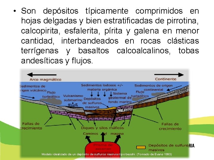  • Son depósitos típicamente comprimidos en hojas delgadas y bien estratificadas de pirrotina,