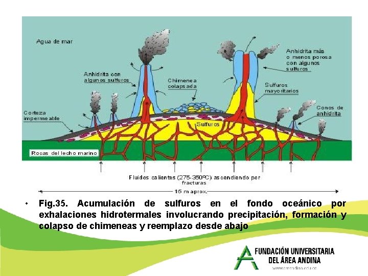  • Fig. 35. Acumulación de sulfuros en el fondo oceánico por exhalaciones hidrotermales