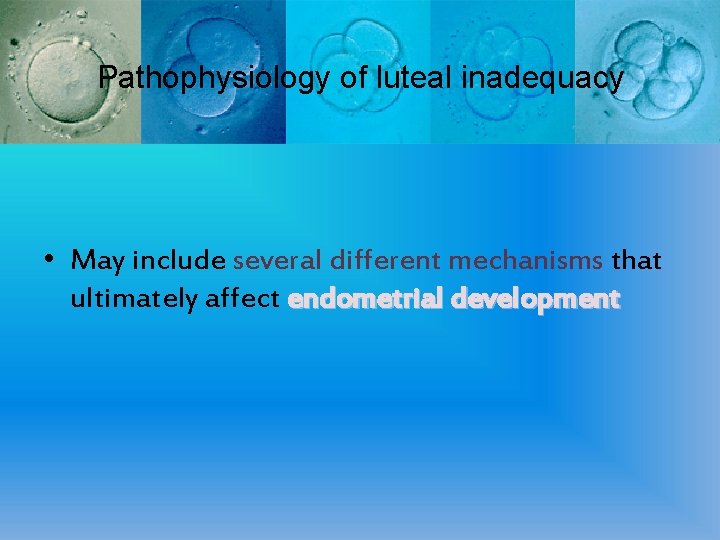 Pathophysiology of luteal inadequacy • May include several different mechanisms that ultimately affect endometrial