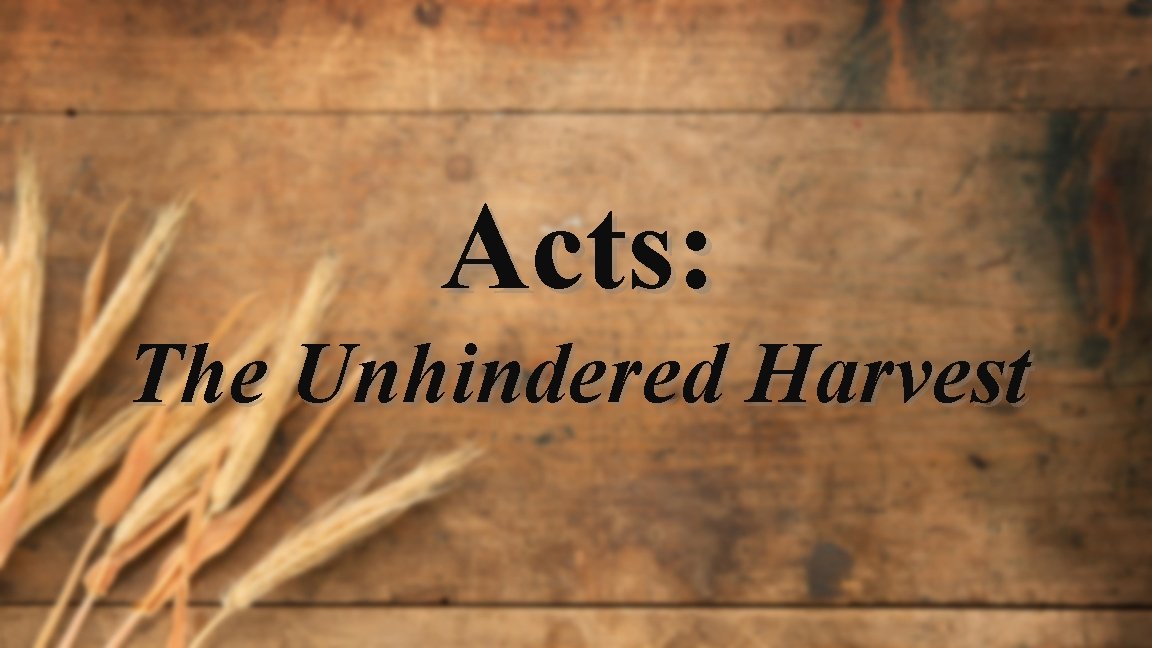 Acts: The Unhindered Harvest 