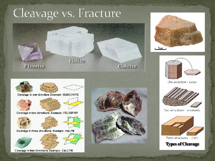 Cleavage vs. Fracture 