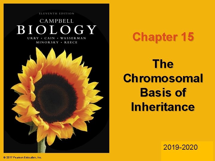 Chapter 15 The Chromosomal Basis of Inheritance Lecture Presentations by Nicole Tunbridge and Kathleen