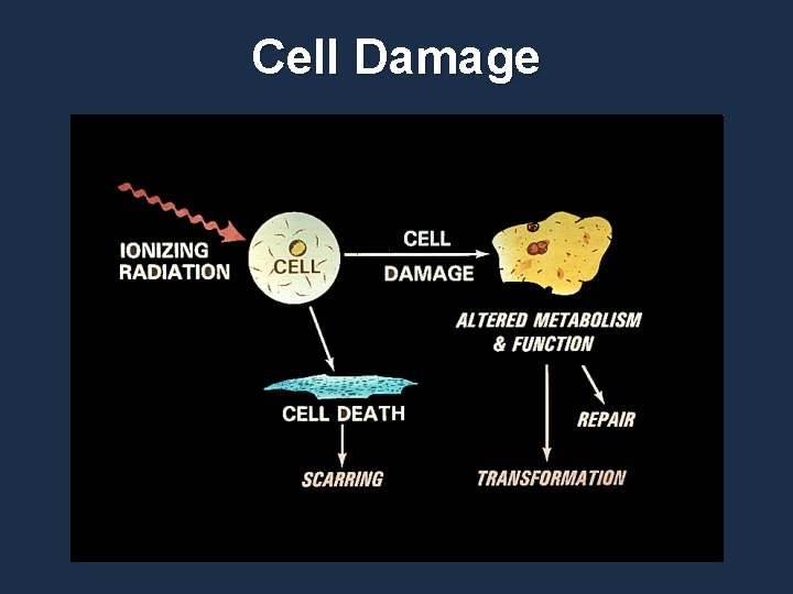 Cell Damage 