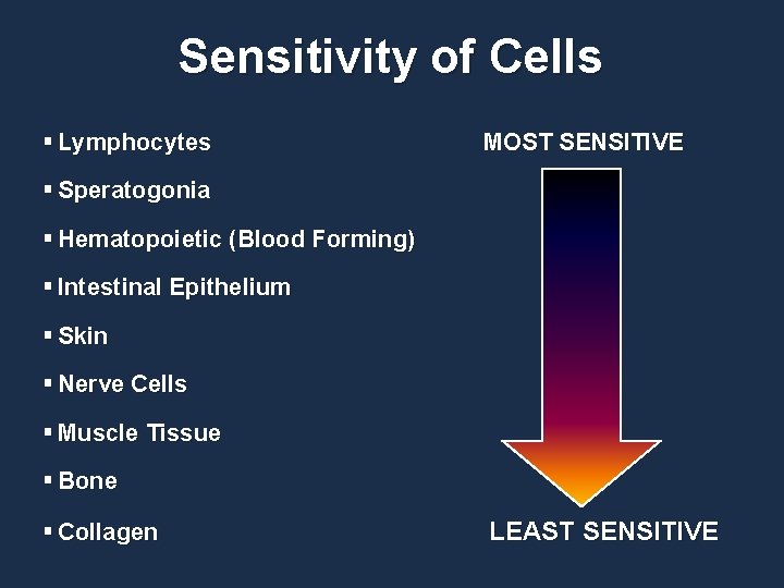 Sensitivity of Cells § Lymphocytes MOST SENSITIVE § Speratogonia § Hematopoietic (Blood Forming) §