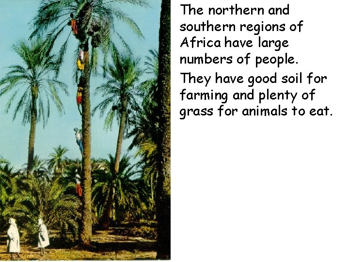  • The northern and southern regions of Africa have large numbers of people.