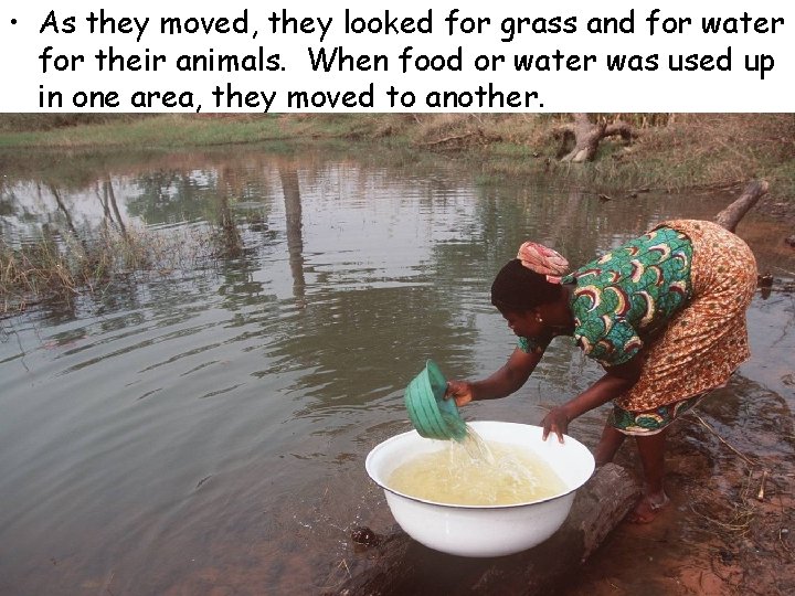  • As they moved, they looked for grass and for water for their