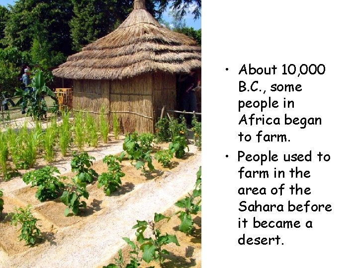  • About 10, 000 B. C. , some people in Africa began to