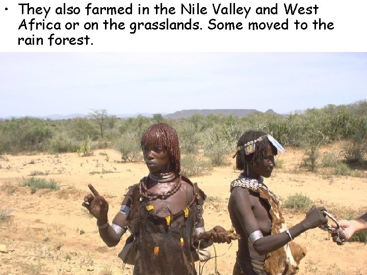  • They also farmed in the Nile Valley and West Africa or on