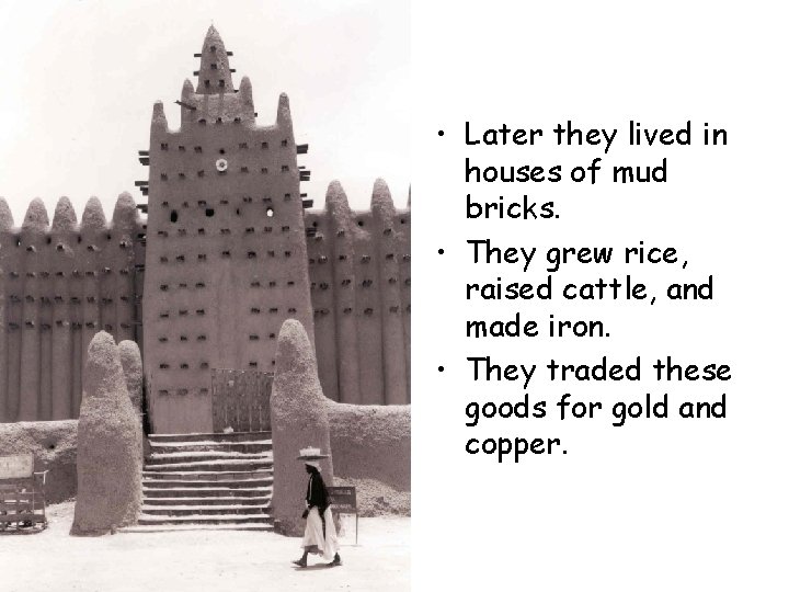  • Later they lived in houses of mud bricks. • They grew rice,