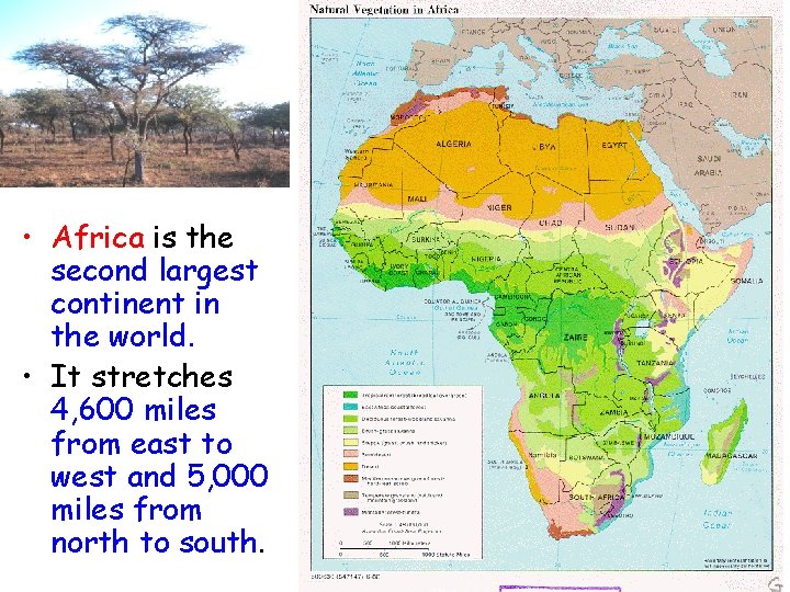  • Africa is the second largest continent in the world. • It stretches