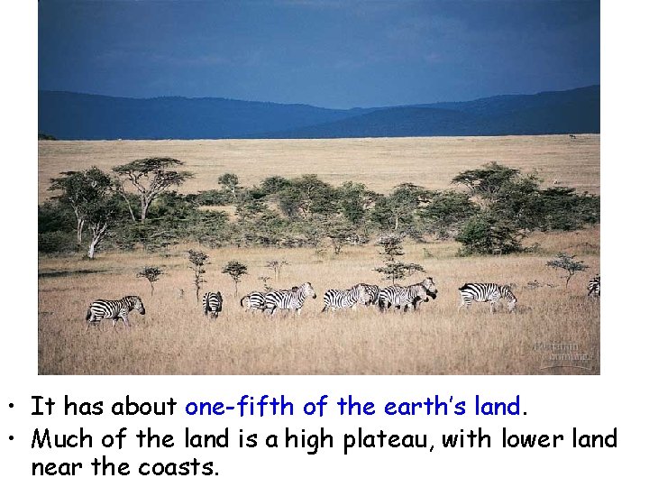  • It has about one-fifth of the earth’s land. • Much of the