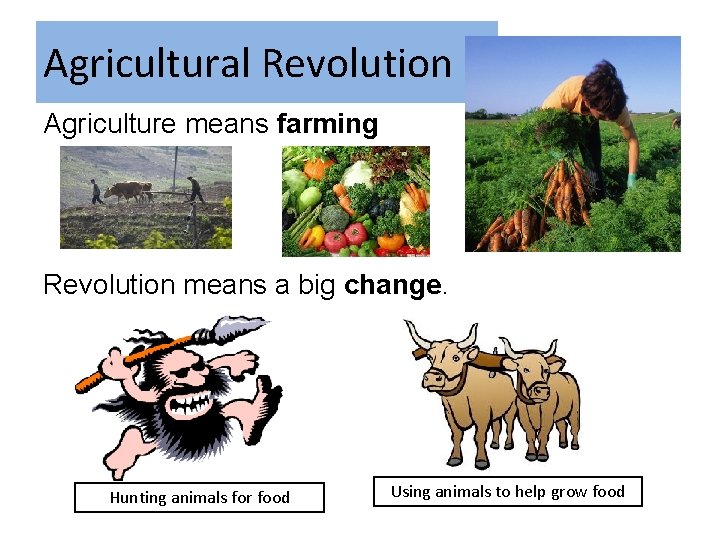 Agricultural Revolution Agriculture means farming Revolution means a big change. Hunting animals for food