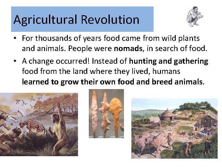 Agricultural Revolution • For thousands of years food came from wild plants and animals.