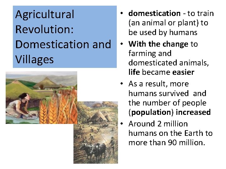 Agricultural Revolution: Domestication and Villages • domestication - to train (an animal or plant)