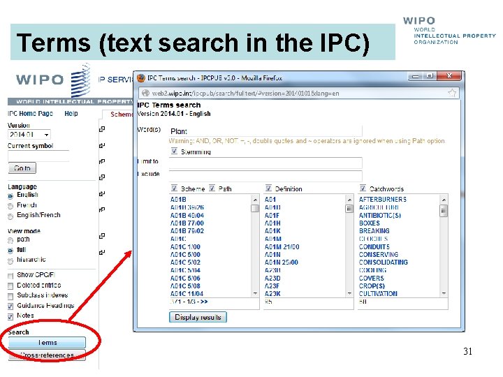 Terms (text search in the IPC) 31 