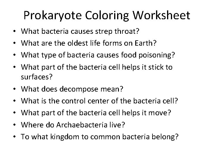 Prokaryote Coloring Worksheet • • • What bacteria causes strep throat? What are the