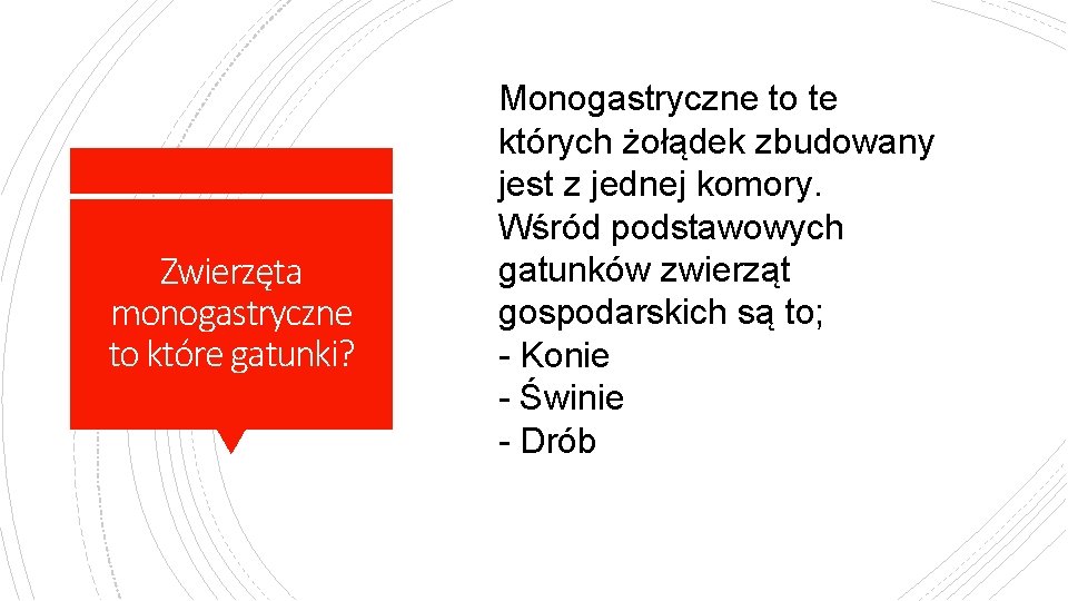 Zwierzęta monogastryczne to które gatunki? Monogastryczne to te których żołądek zbudowany jest z jednej