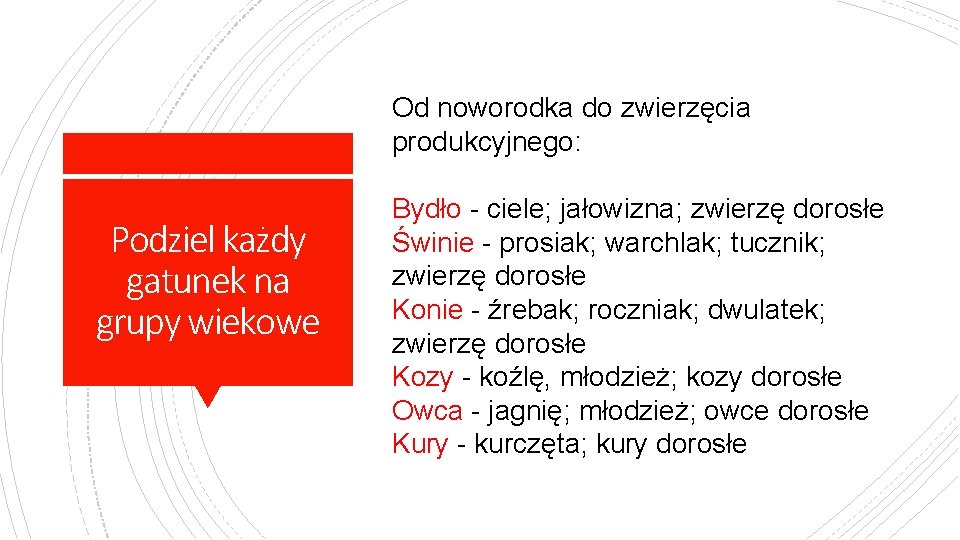 Od noworodka do zwierzęcia produkcyjnego: Podziel każdy gatunek na grupy wiekowe Bydło - ciele;