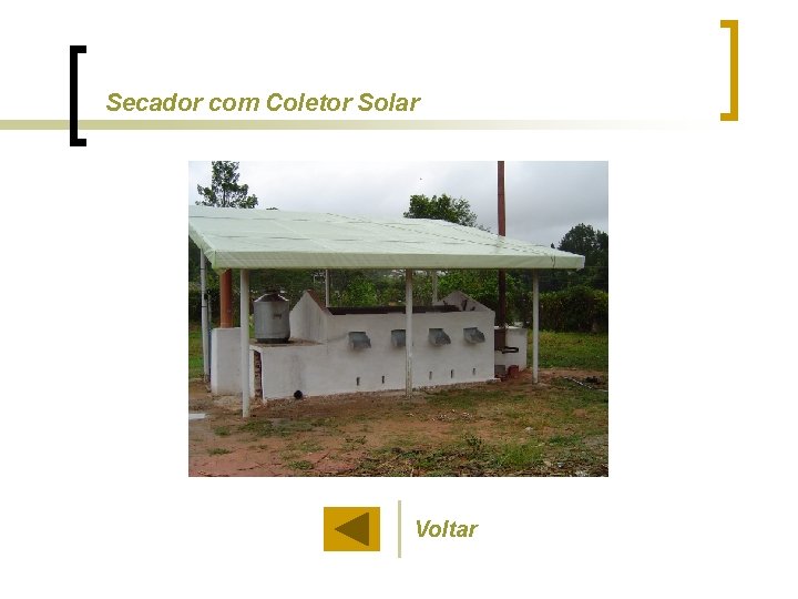 Secador com Coletor Solar Voltar 