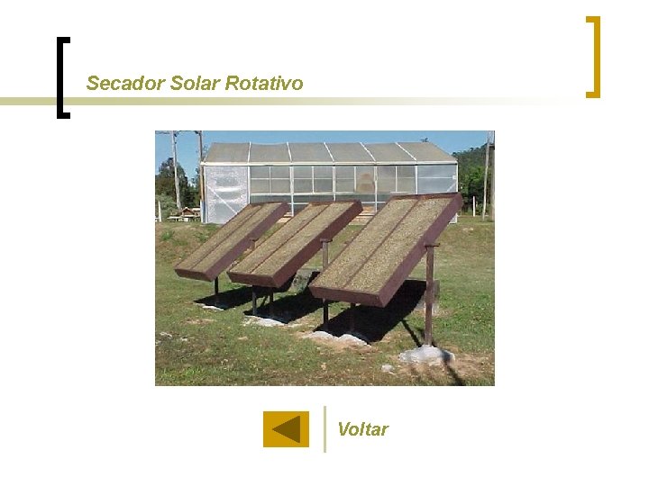 Secador Solar Rotativo Voltar 
