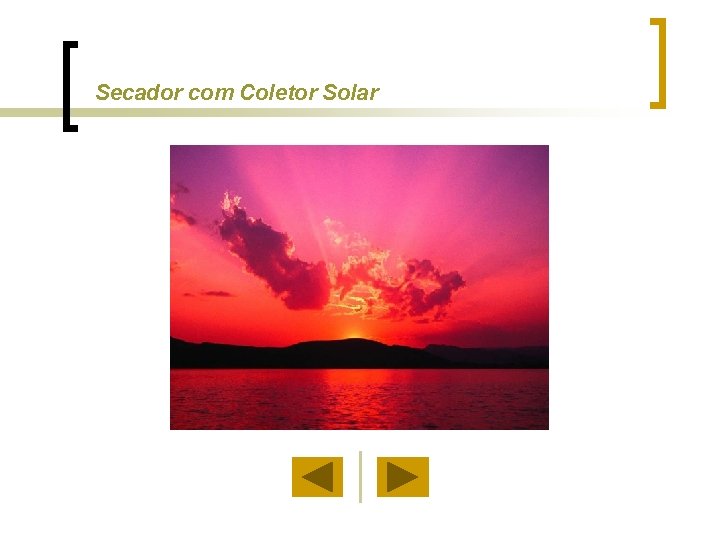 Secador com Coletor Solar 