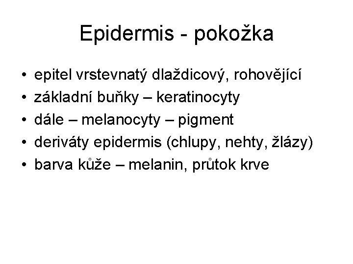 Epidermis - pokožka • • • epitel vrstevnatý dlaždicový, rohovějící základní buňky – keratinocyty