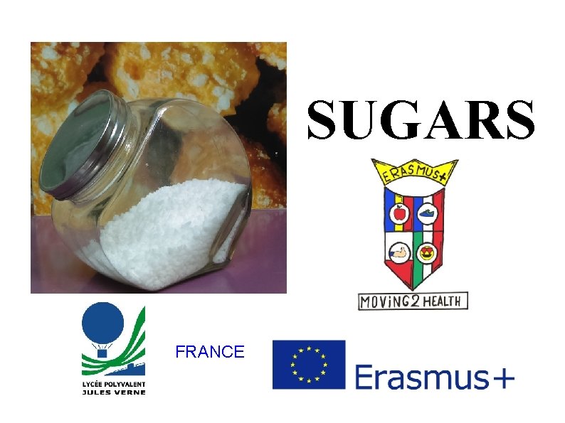 SUGARS FRANCE 