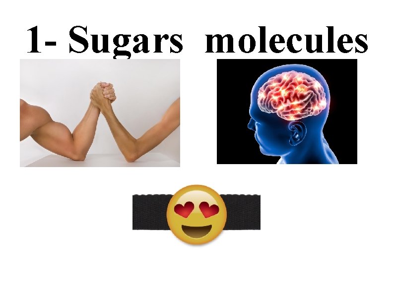 1 - Sugars molecules 