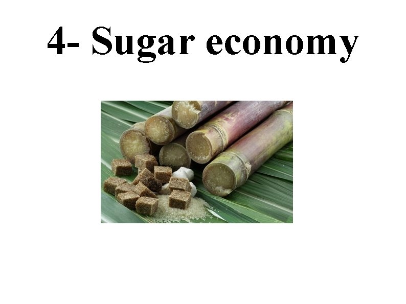 4 - Sugar economy 