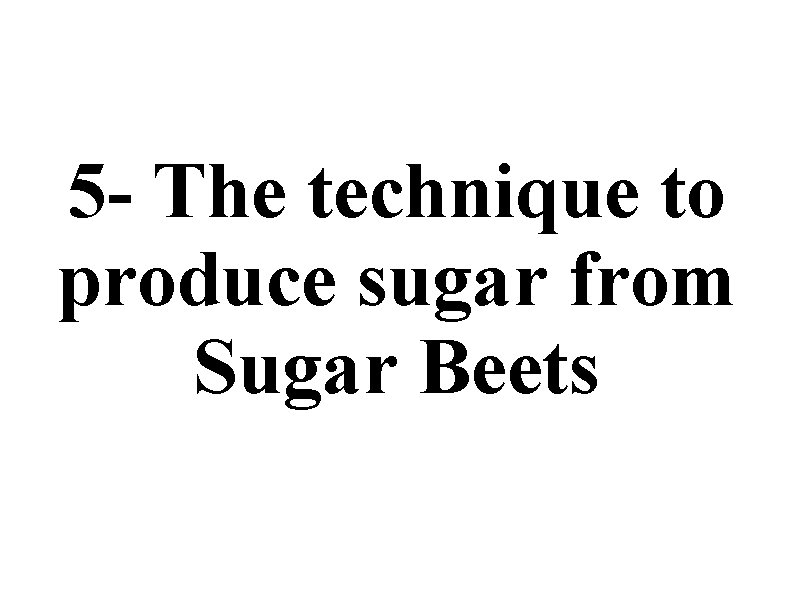 5 - The technique to produce sugar from Sugar Beets 