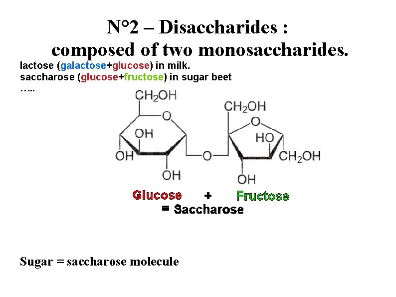 N° 2 – Disaccharides : composed of two monosaccharides. lactose (galactose+glucose) in milk. saccharose